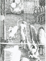 illustratie