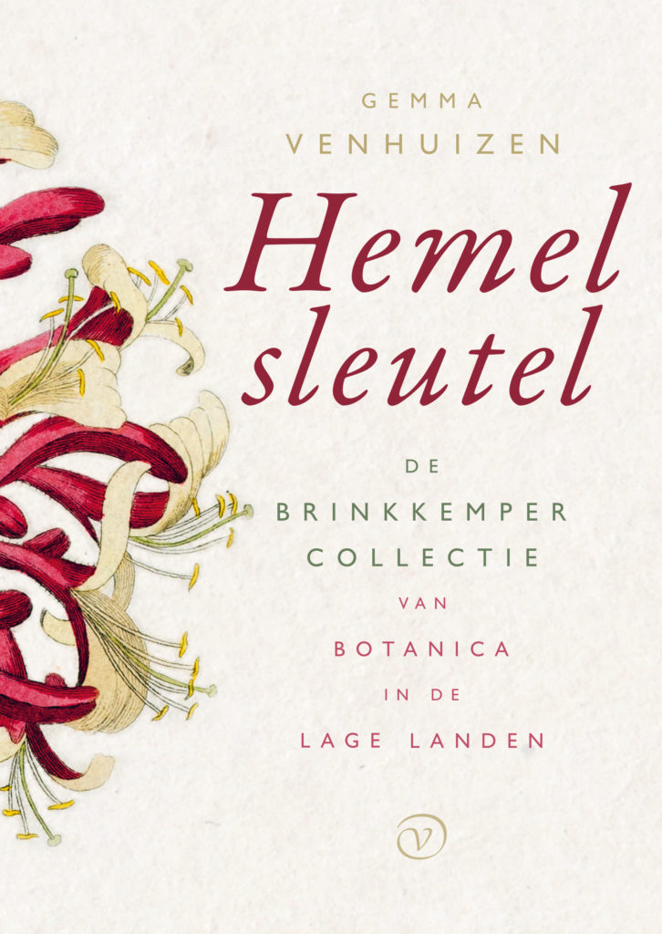 Omslag Hemelsleutel