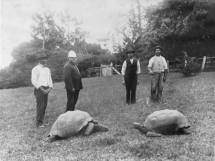 Jonathan, links in beeld, in 1886