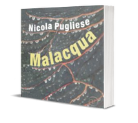 Omslag Malacqua