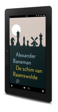 Omslag De schim van Raamswolde