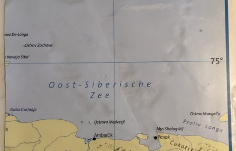 Afbeelding bij A wild sheep chase