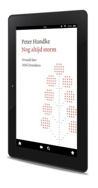 Omslag Nog altijd storm