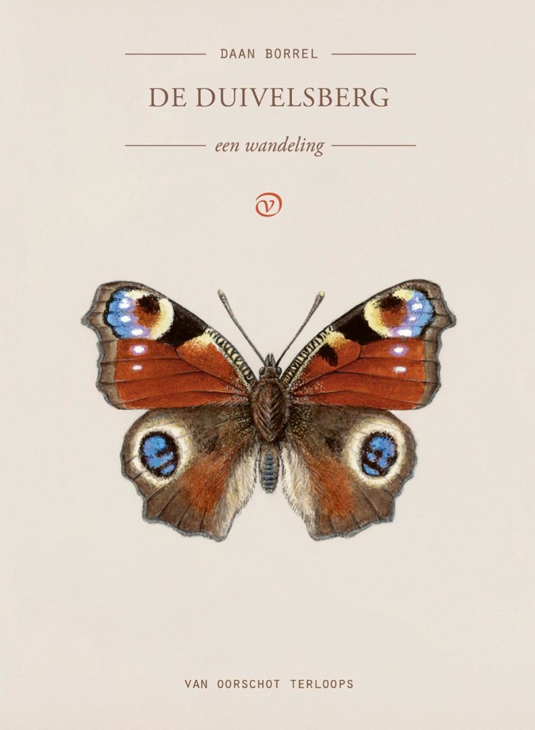 Omslag De Duivelsberg