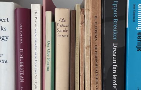 Afbeelding bij Met de fiets naar de trein