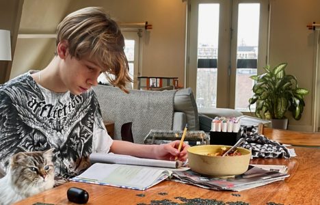 Afbeelding bij Telefoon van school