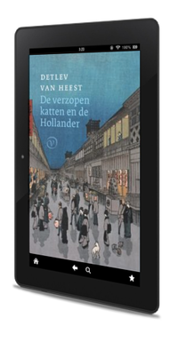 Omslag De verzopen katten en de Hollander